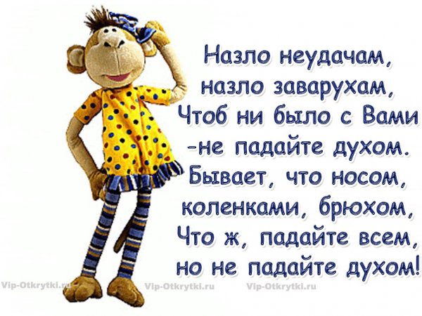 Назло неудачам назло