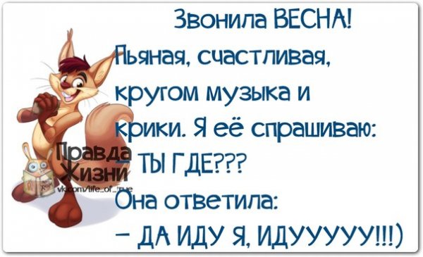 Веселые цитаты про весну