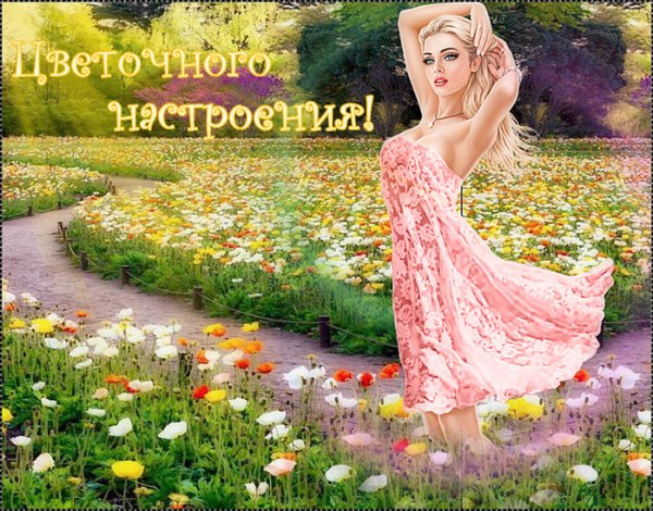 Фотопроект с мимозой