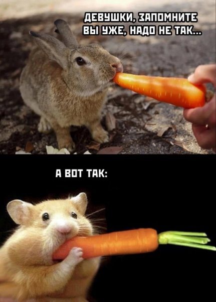 Веселый программист