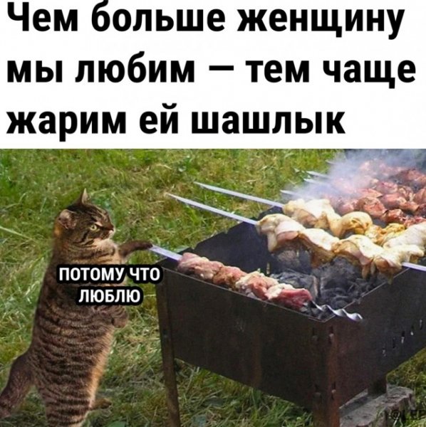 В каждой стране свои голуби