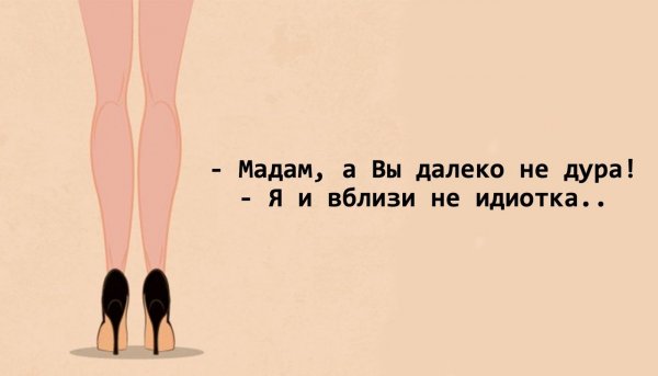 Стихи о глупых женщинах