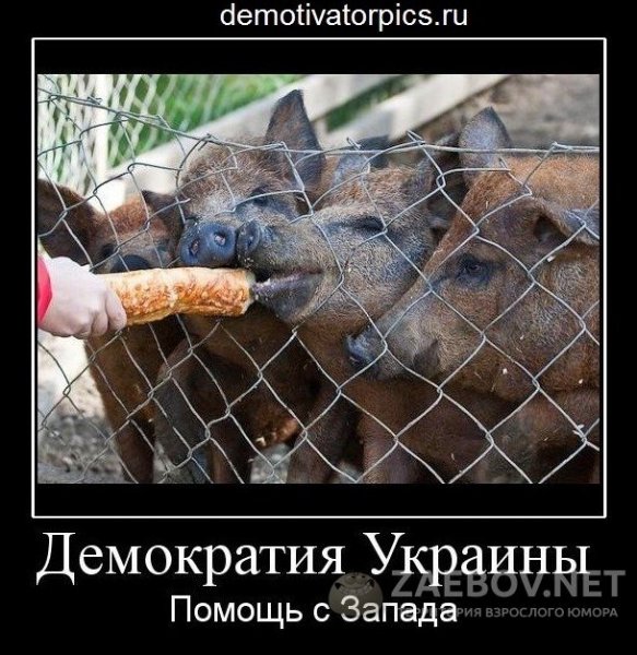 Хохлы демотиваторы