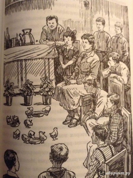 Иллюстрации к книге Носова веселая семейка