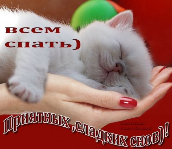 Открытки спокойной ночи