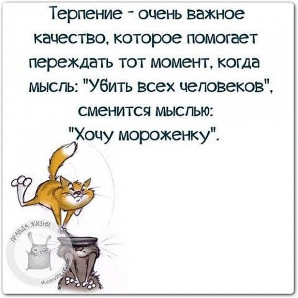 Высказывания о жизни с юмором