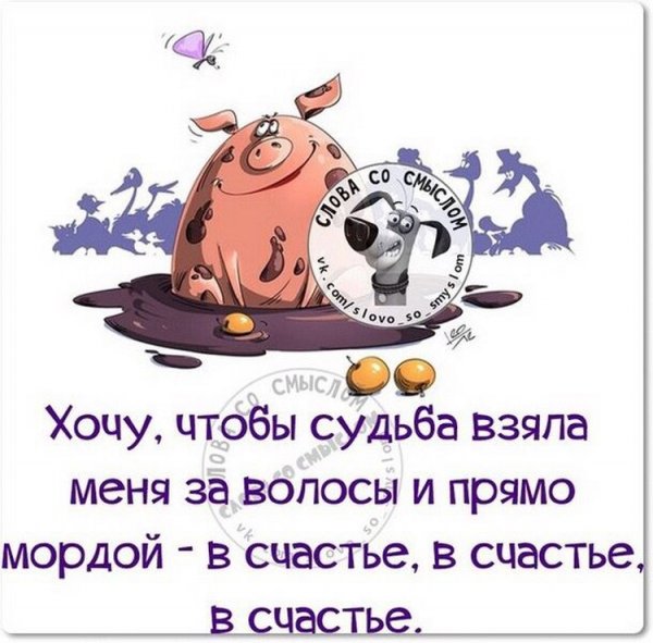 Смешные цитаты со смыслом в картинках