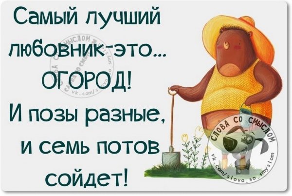 Цитаты со смыслом прикольные