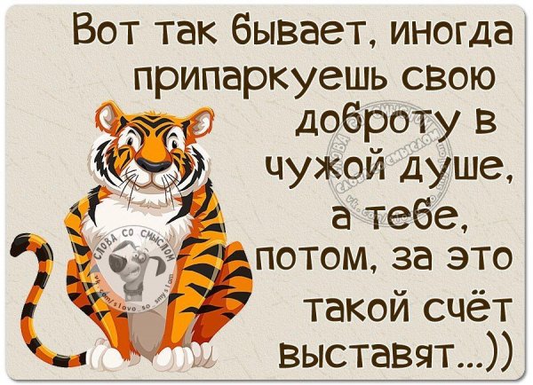 Фразы с юмором и смыслом