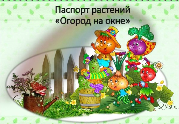 Паспорт овощей для огорода на окне в детском саду