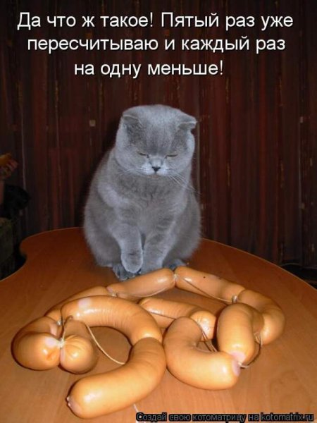 Приколы с надписями