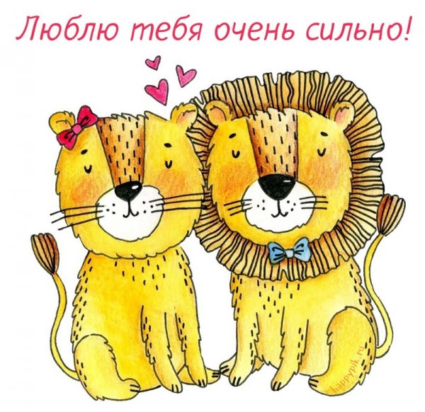 Я тебя очень сильно люблю
