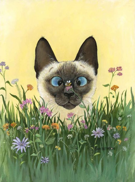 Смешные рисунки котов