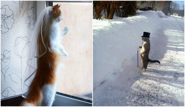 Весна пришла