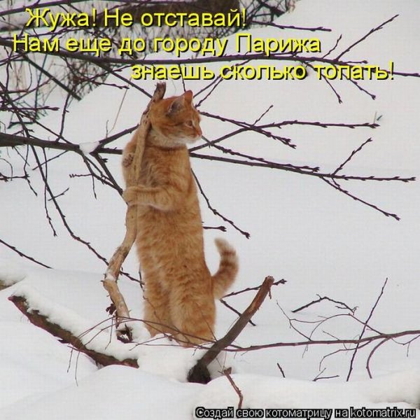 Приколы про зиму и весну