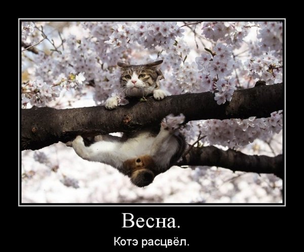 Шутки про весну