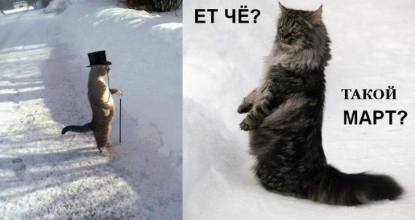 Зима не ждали