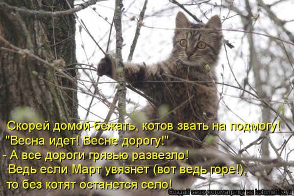 Весне дорогу прикольные