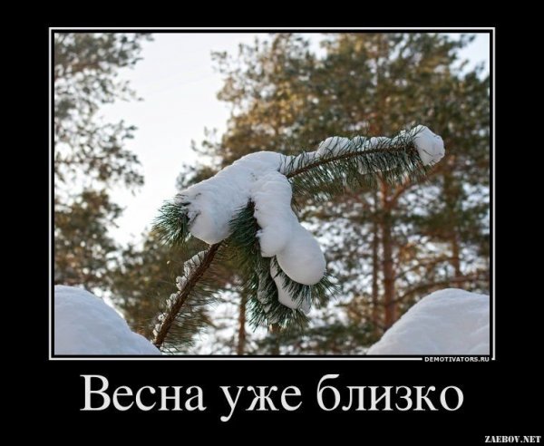 Приколы про весну смешные