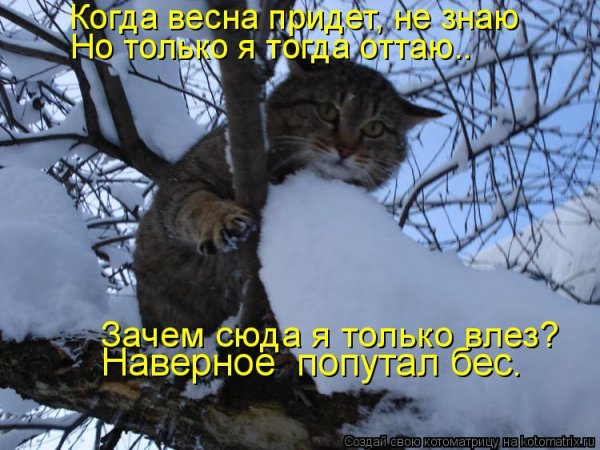 Приколы про зиму и весну