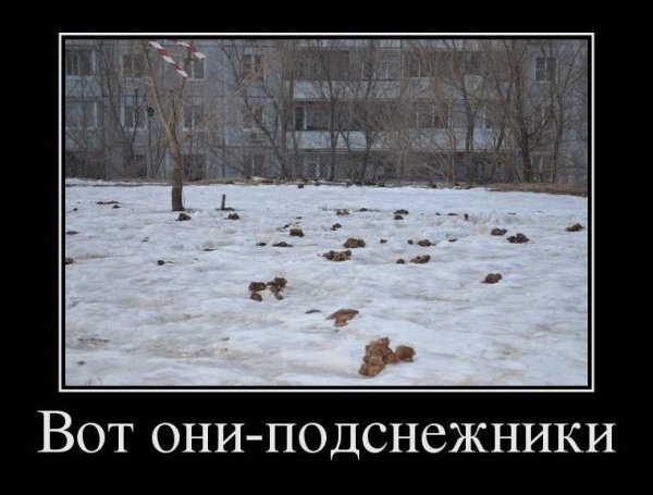 Приколы про весну