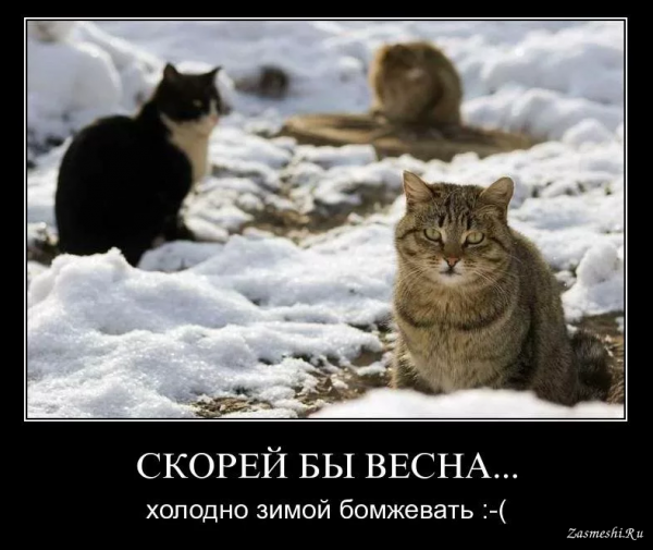 Приколы про весну