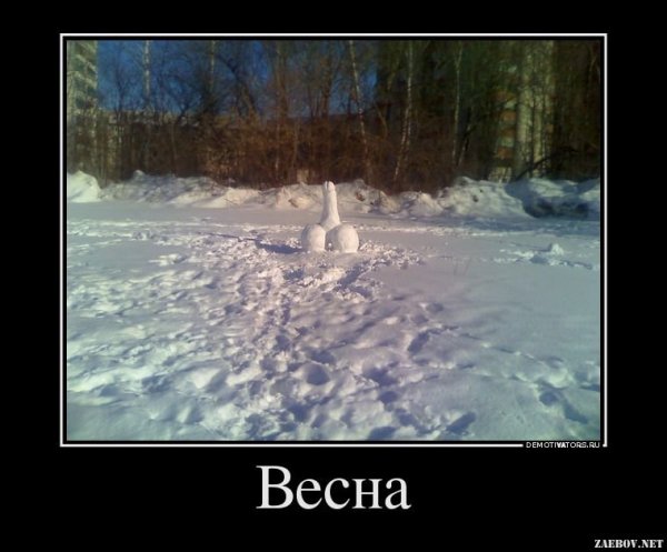 Демотиваторы про весну