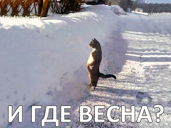 Зима пришла смешные