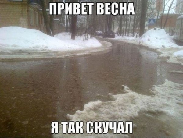 Смешное про весну