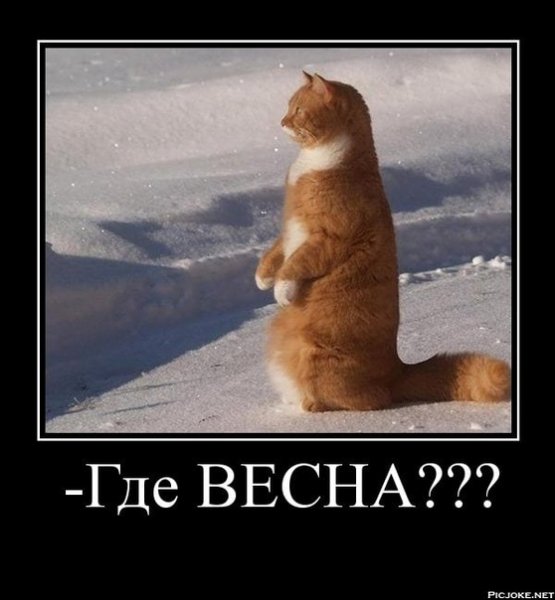 Весна ты где