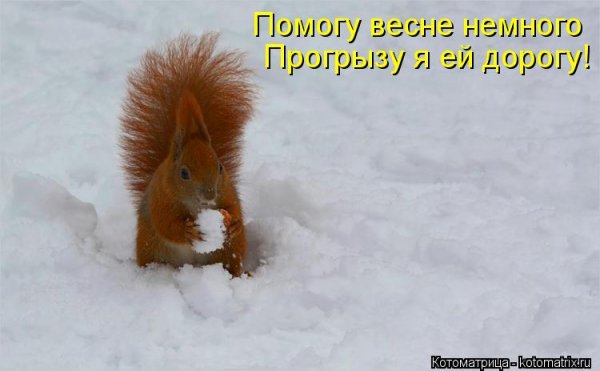 Устал от зимы