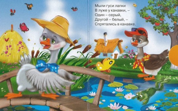Два веселых гуся