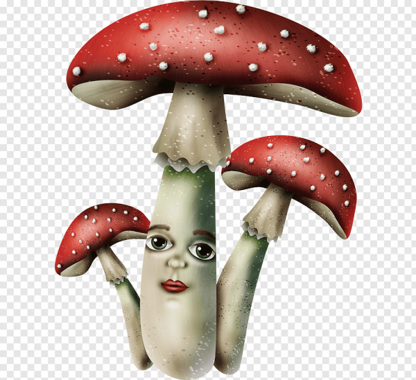 Мухомор с глазами
