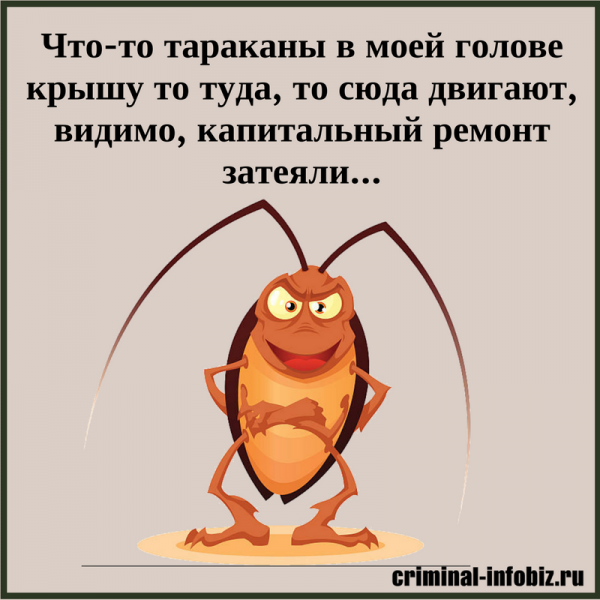Тараканы в голове