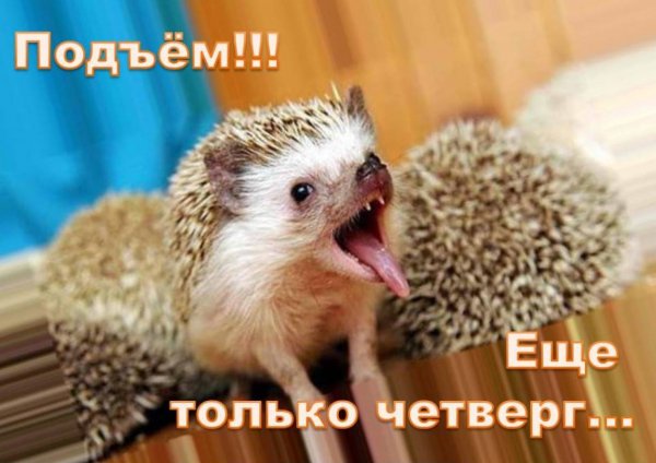Привет четверг