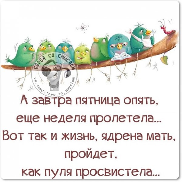 Фразы про четверг прикольные