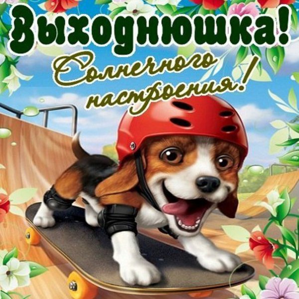 Хороших выходных собаки