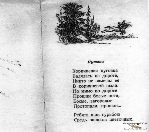 Коричневая Пуговка Автор