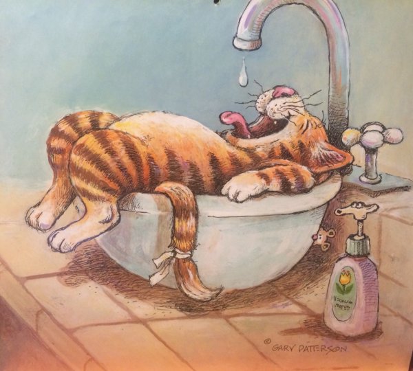 Забавные Рисованные коты