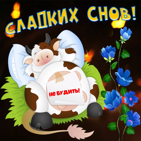 Открытки спокойной ночи с приколами