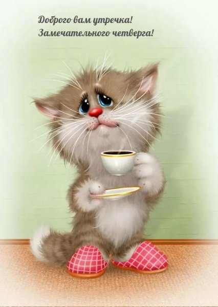 Коты Долотова