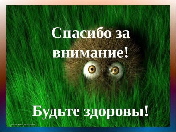 Спасибо за внимание физика