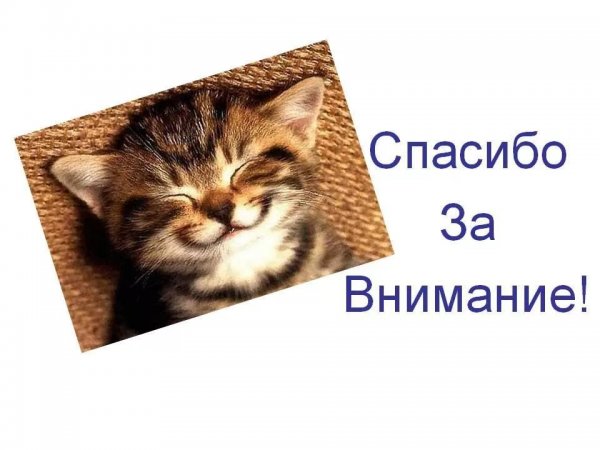 Спасибо за внимание