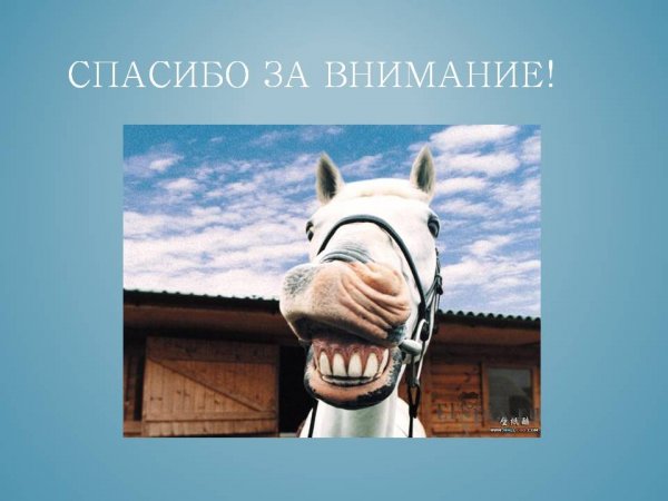 Спасибо за внимание