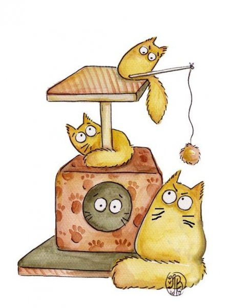Maria van Bruggen смешные коты