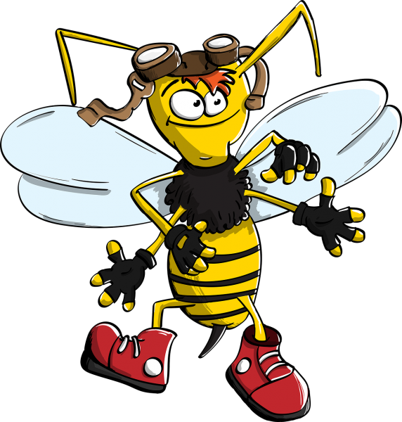 Bumblebee Bee Wasp