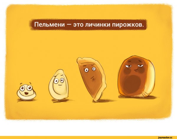 Пельмени карикатура