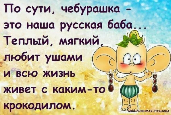 Смешные высказывания