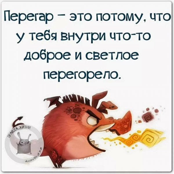 Смешные высказывания о жизни