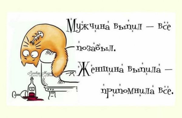 Смешные цитаты про жизнь приколы
